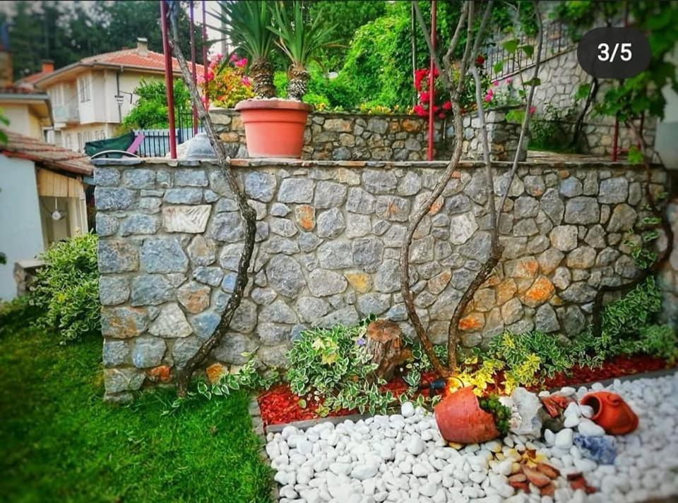 Snegar Apartments Ohrid Kültér fotó