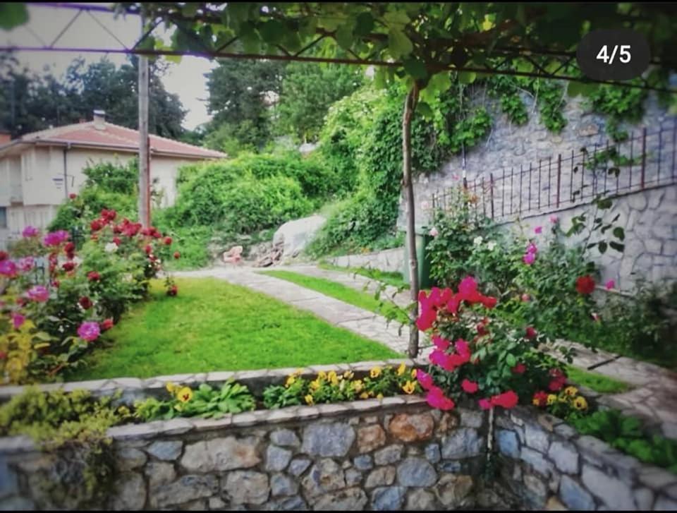Snegar Apartments Ohrid Kültér fotó