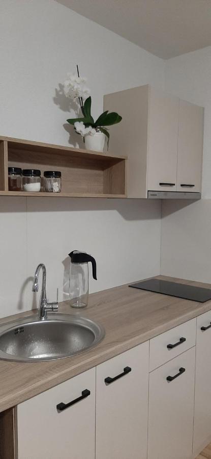Snegar Apartments Ohrid Kültér fotó