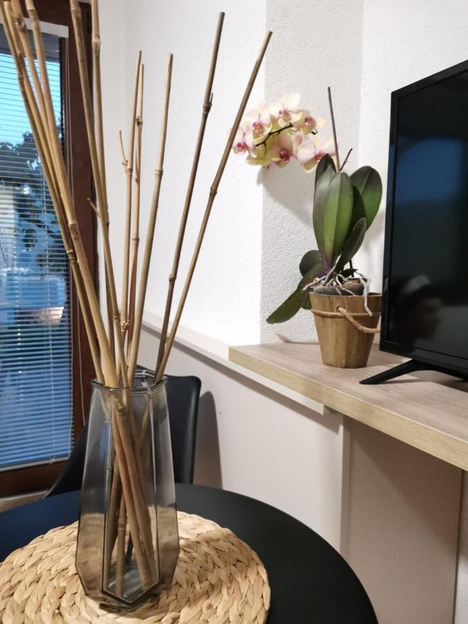 Snegar Apartments Ohrid Kültér fotó