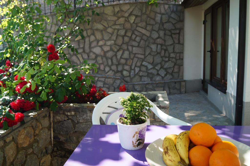 Snegar Apartments Ohrid Kültér fotó