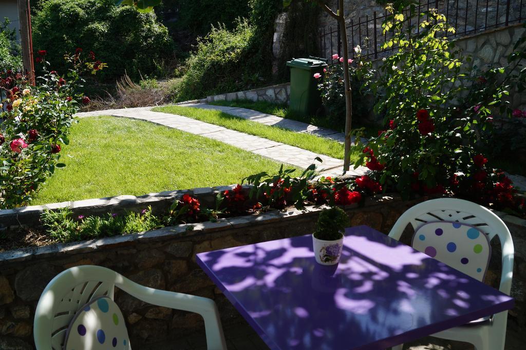 Snegar Apartments Ohrid Kültér fotó